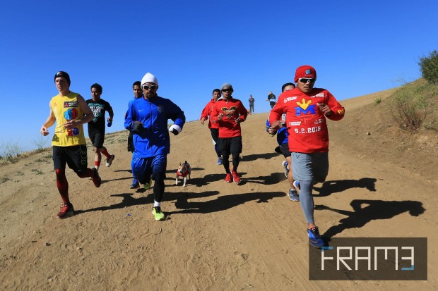 Manny "Pacman" Pacquiao (in blue) jogs at the Griffith Park in Hollywood, California on Friday morning (US time) as part of his training for his fight against Floyd Mayweather Jr. With an elevation gain of more than 300 meters, only a few elite members of Team Pacquiao, including Pacman the dog can keep up with him. Rem Zamora/INQUIRER