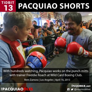Pacquiao-Shorts-13-mayweather