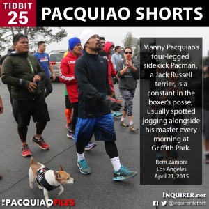 Pacquiao-Shorts-25