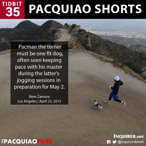 Pacquiao-Shorts-35