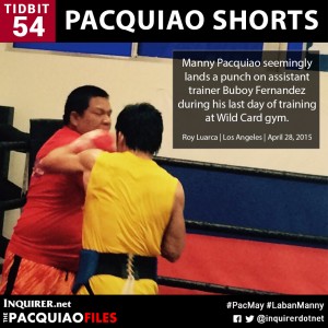 Pacquiao-Shorts-54