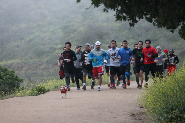 With Pacman the dog leading the way, Manny Pacquiao and team members run at Griffith Park early Monday. 