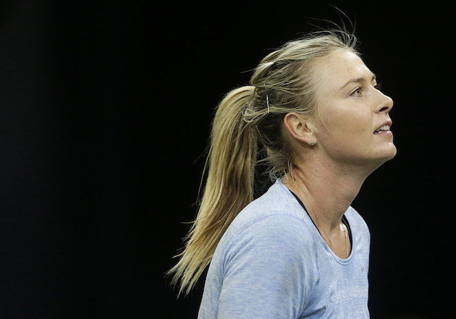 FILE - Maria Sharapova from Russia concentrates during a training session prior to the Fed Cup Final tennis tournament against Czech Republic in Prague, Czech Republic, Wednesday, Nov. 11, 2015. AP