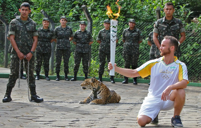 An athlete holds the Olympic Torch by a jaguar --symbol of Amazonia-- during a ceremony in Manaus, northern Brazil, on June 20, 2016.   The jaguar, who was named Juma and lived in the local zoo, had to be shot dead by soldiers shortly after the ceremony when he escaped and attacked a veterinarian despite having been hit four times with tranquilizing darts. / AFP PHOTO / Diario do Amazonas / Jair Araujo