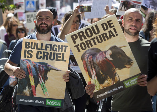 Protesters carry banners during an anti bullfighting demonstration march in Madrid, Spain. Thousands marched though the center of the city to call for a ban of bullfighting. Banner on right reads 'Stop the torture'. AP