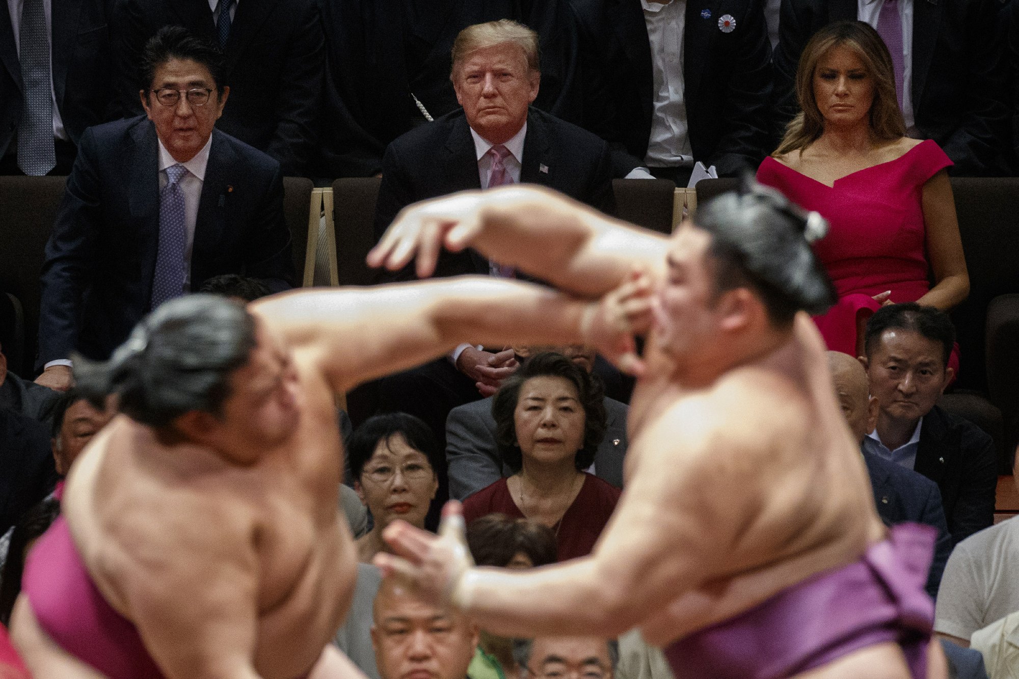 Trump-sumo