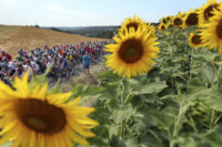 Rescheduled Tour de France hoping to make nation smile again