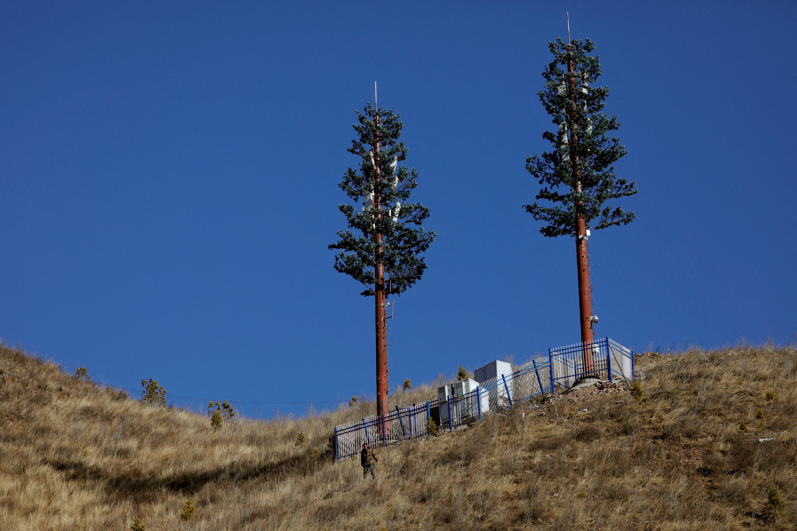 Cell towers whose appearance resembles that of a tree stand on a slope near the National Cross-Country Centre during a government-organised media tour to Beijing 2022 Winter Olympics venues in Zhangjiakou, Hebei province, China December 21, 2021.  REUTERS