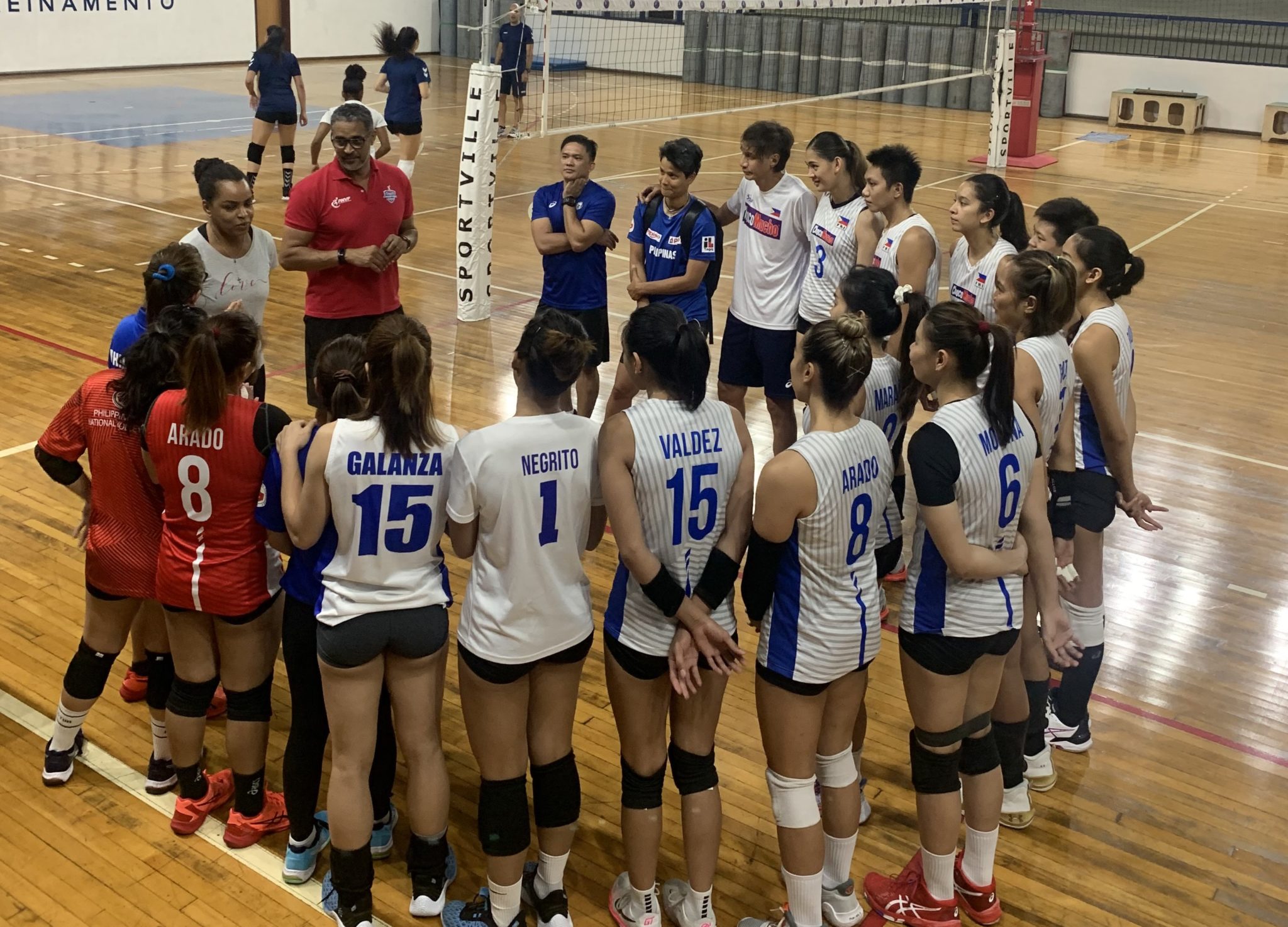 PNVF eyes mix of pros, young stars for SEA Games volleyball roster