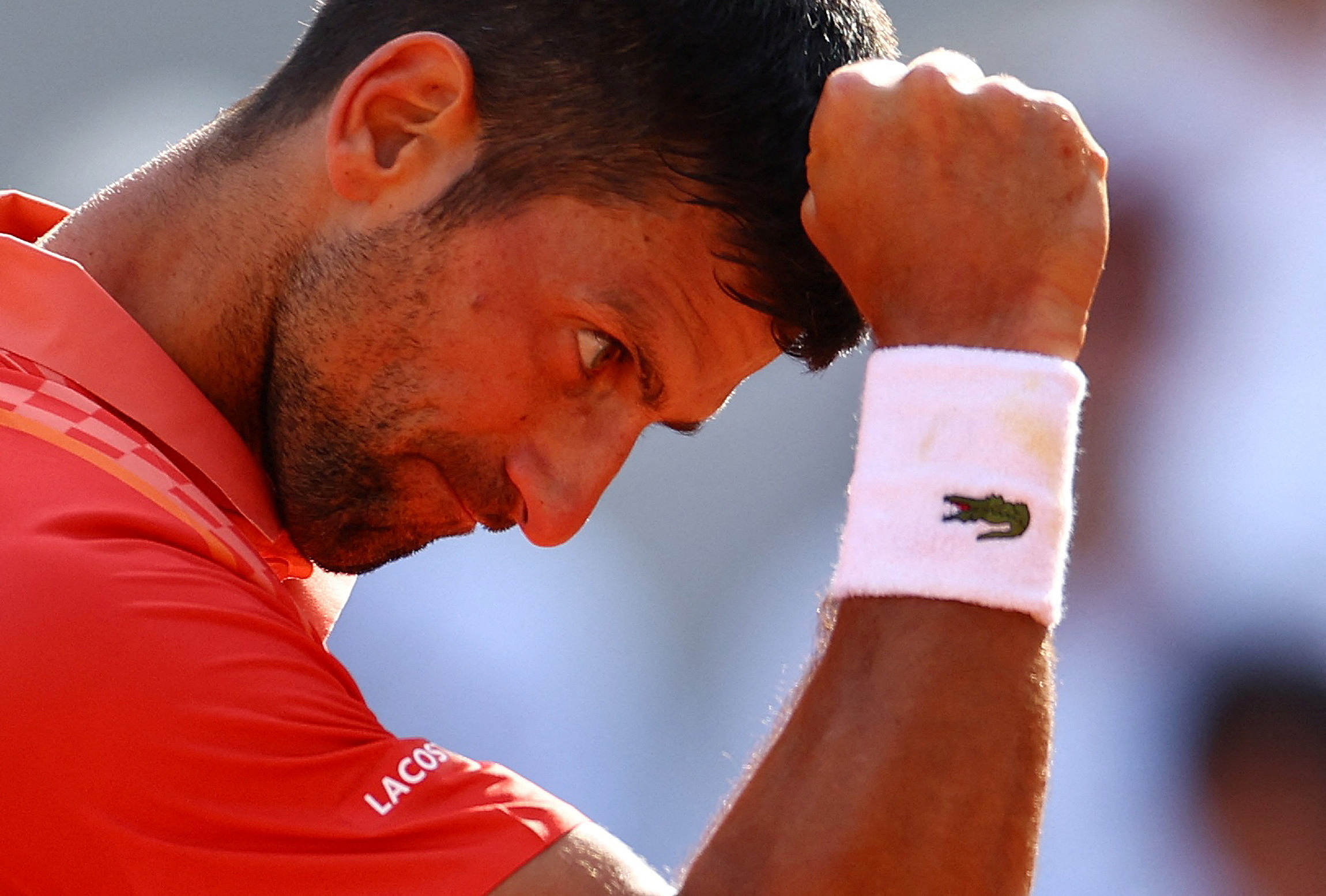 French Open Novak Djokovic closes on 23rd Grand Slam as Carlos Alcaraz