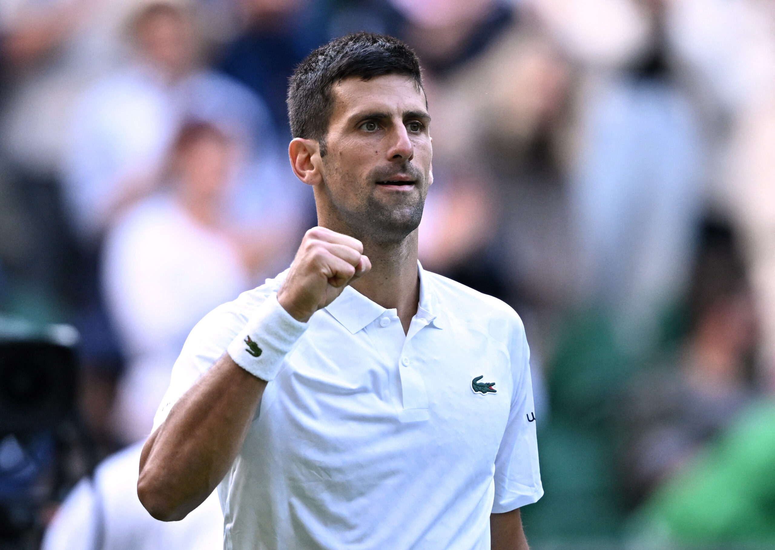 Novak Djokovic Wimbledon tennis grand slam