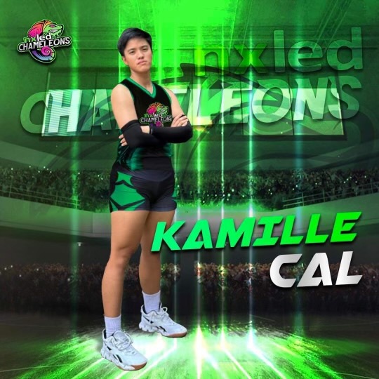Kamille Cal 