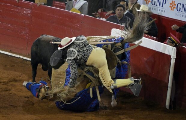 Mexico bullfighting