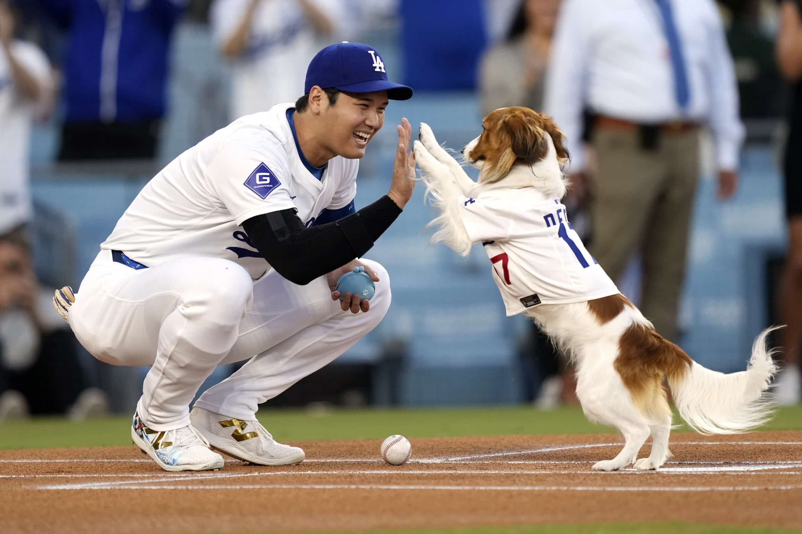 Shohei Ohtani, his dog Decoy share first-pitch duties | Inquirer Sports