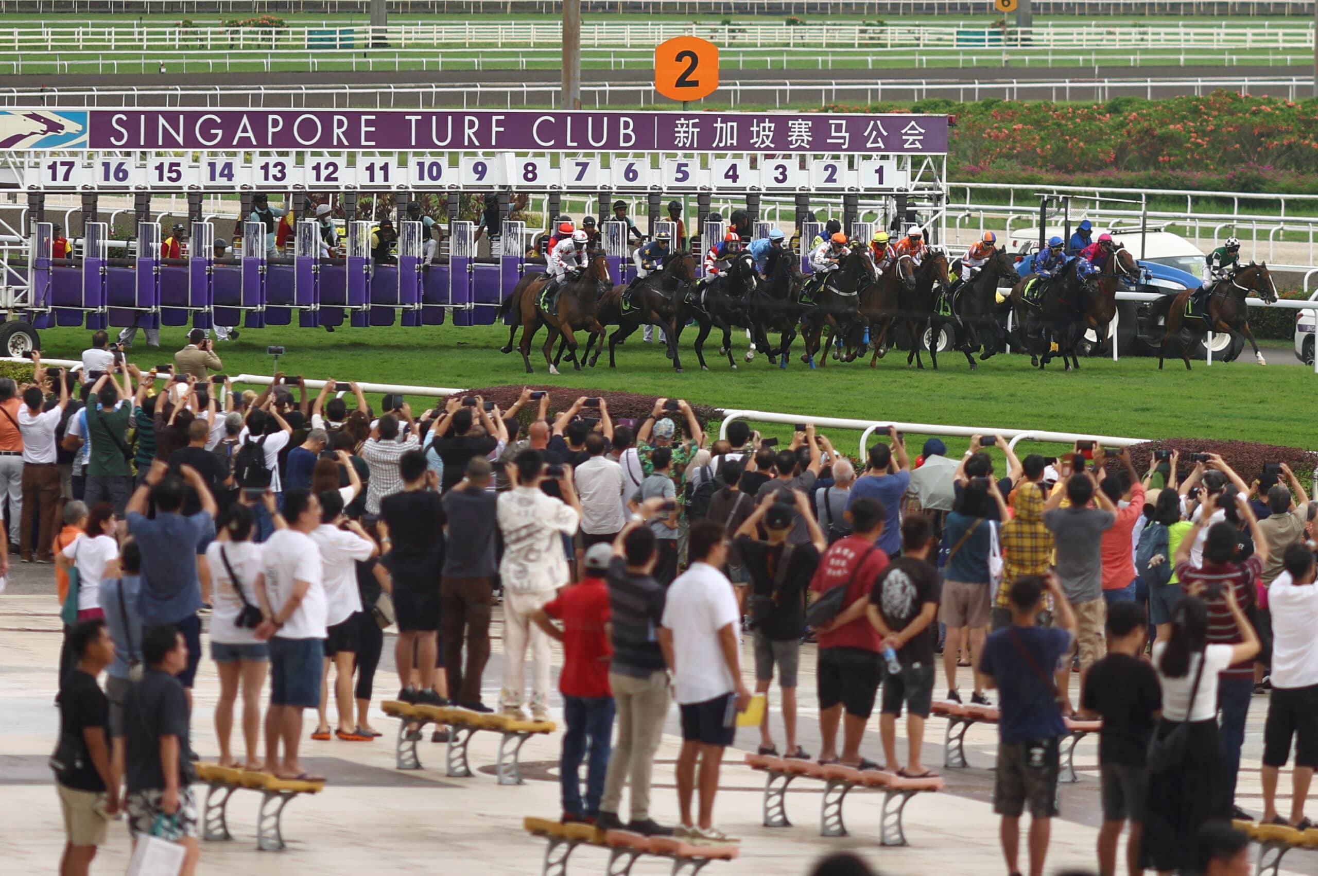 Horses race in the Grand Singapore Gold Cup