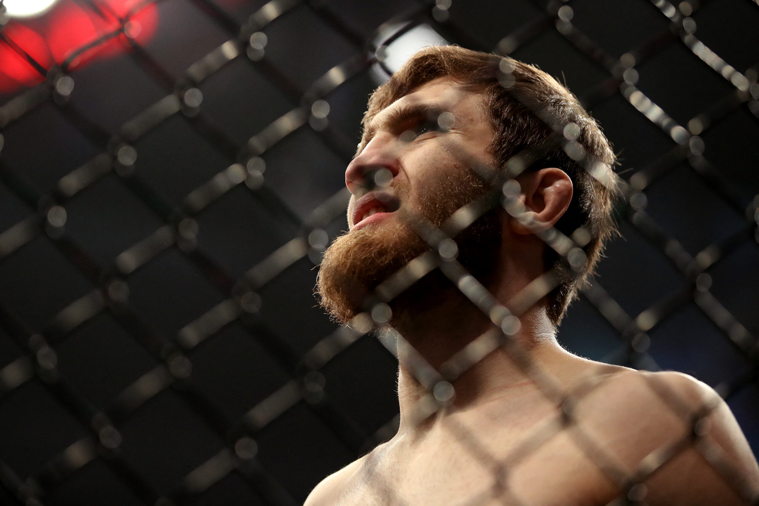 Said Nurmagomedov perde adversário no UFC 308