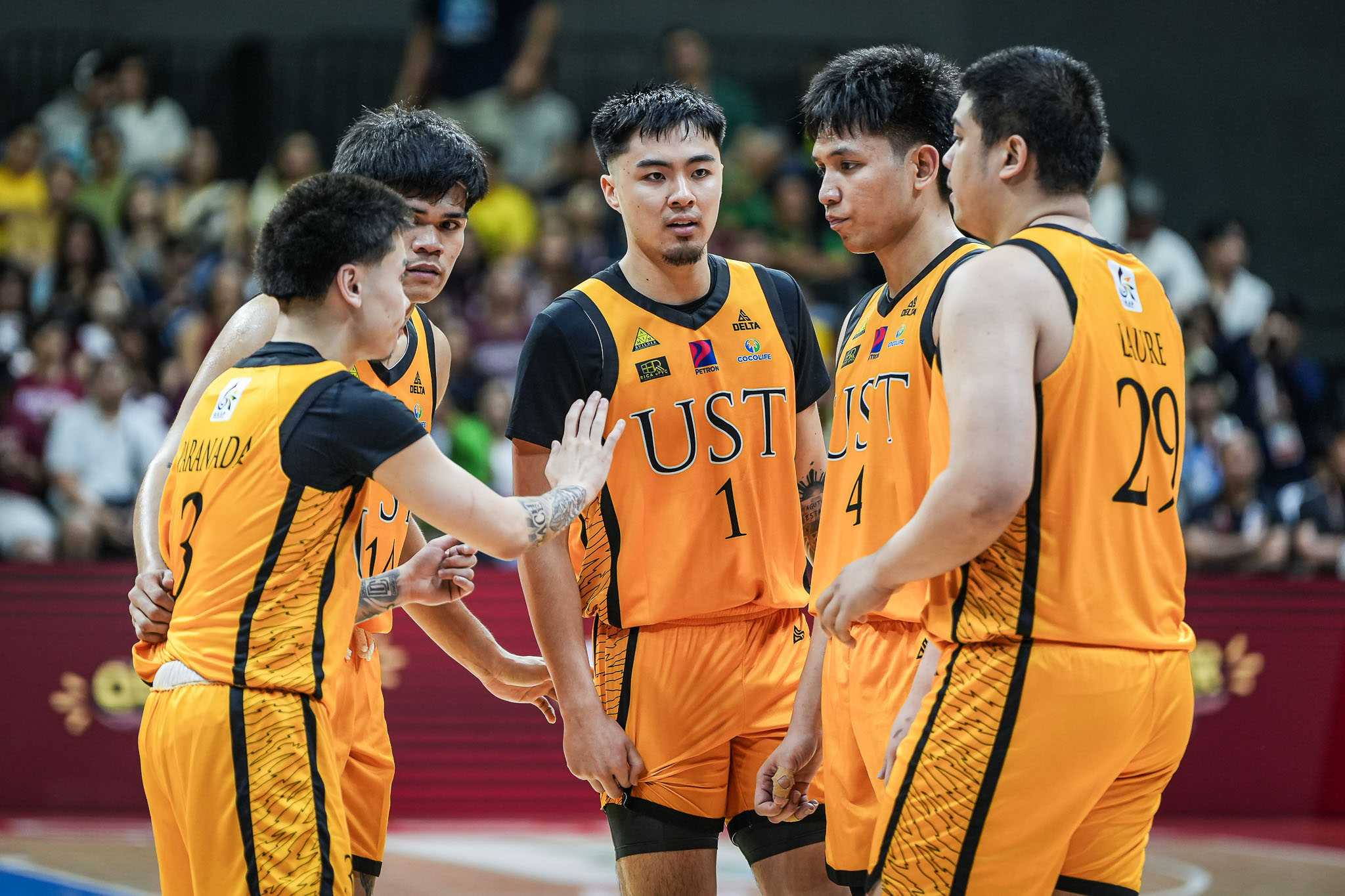 UST Growling Tigers UAAP Season 87 men's basketball Final Four