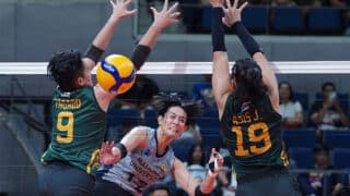 Lady Bulldogs bounce back hard, dismantle Tams in four sets